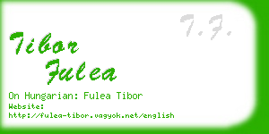 tibor fulea business card